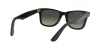 RB2140 Wayfarer Sunglasses