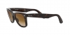 RB2140 Wayfarer Sunglasses