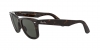 RB2140 Wayfarer Sunglasses
