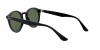 RB2180F Sunglasses