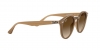 RB2180F Sunglasses