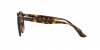 RB2180F Sunglasses