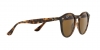 RB2180F Sunglasses