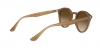 RB2180 Sunglasses