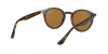 RB2180 Sunglasses