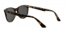 RB2180L Sunglasses
