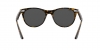 RB2180L Sunglasses