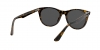 RB2180L Sunglasses