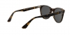 RB2180L Sunglasses