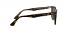 RB2180L Sunglasses