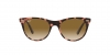 RB2180L Sunglasses