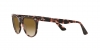 RB2180L Sunglasses