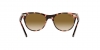 RB2180L Sunglasses