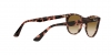 RB2180L Sunglasses