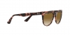 RB2180L Sunglasses