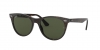 RB2185 Wayfarer Ii Sunglasses