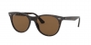 RB2185 Wayfarer Ii Sunglasses
