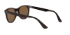 RB2185 Wayfarer Ii Sunglasses