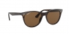 RB2185 Wayfarer Ii Sunglasses