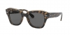 RB2186 State Street Sunglasses