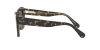 RB2186 State Street Sunglasses