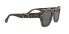 RB2186 State Street Sunglasses