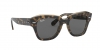 RB2186 State Street Sunglasses