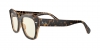 RB2186 State Street Sunglasses