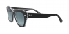 RB2186 State Street Sunglasses