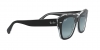 RB2186 State Street Sunglasses