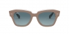RB2186 State Street Sunglasses