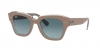 RB2186 State Street Sunglasses
