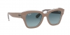 RB2186 State Street Sunglasses