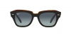 RB2186 State Street Sunglasses
