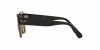 RB2186 State Street Sunglasses
