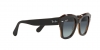 RB2186 State Street Sunglasses