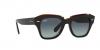 RB2186 State Street Sunglasses