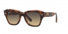 RB2186 State Street Sunglasses