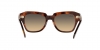 RB2186 State Street Sunglasses