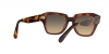 RB2186 State Street Sunglasses