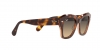 RB2186 State Street Sunglasses