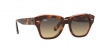 RB2186 State Street Sunglasses
