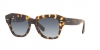 RB2186 State Street Sunglasses