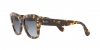RB2186 State Street Sunglasses