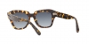 RB2186 State Street Sunglasses
