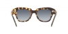 RB2186 State Street Sunglasses