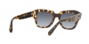 RB2186 State Street Sunglasses