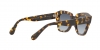 RB2186 State Street Sunglasses