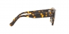 RB2186 State Street Sunglasses