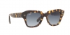 RB2186 State Street Sunglasses